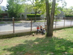 DSC01116.JPG