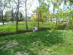DSC01118.JPG