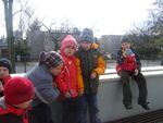 DSC00733.JPG