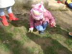 DSC00739.JPG