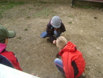 DSC00782.JPG