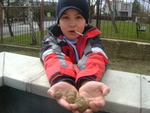 DSC00785.JPG