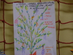 DSC00800.JPG