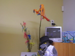 DSC00801.JPG