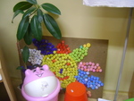 DSC00804.JPG