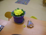 DSC00807.JPG