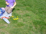 DSC01177.JPG