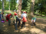 DSC01197.JPG