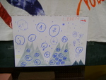 DSC00229.JPG