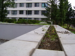 DSC02232.JPG