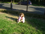 DSC02072.JPG