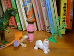 DSC02122.JPG