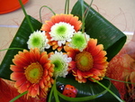 DSC02126.JPG