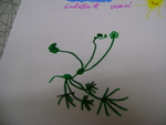 DSC02288.JPG