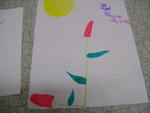 DSC02289.JPG