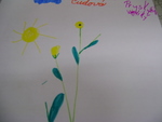 DSC02293.JPG