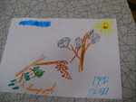 DSC02295.JPG