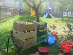 DSC04706.JPG