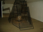 DSC05252.JPG