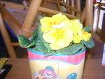 DSC00664.JPG