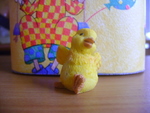 DSC00666.JPG