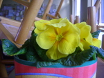 DSC00667.JPG