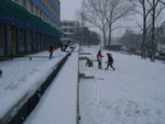 DSC00174.JPG