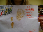 DSC00181.JPG