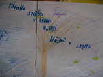 DSC00182.JPG