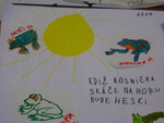 c005.jpg
