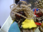 DSC03083.JPG