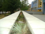 DSC02726.JPG