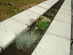 DSC02728.JPG