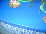 DSC00956.JPG