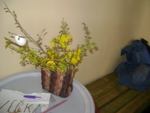 DSC00960.JPG