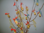 DSC00961.JPG