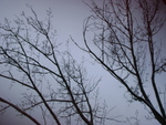DSC00049.JPG