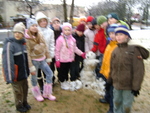 DSC00052.JPG