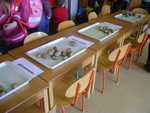DSC00679.JPG