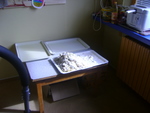 DSC00697.JPG