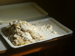 DSC00698.JPG