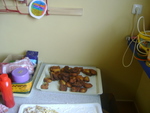 DSC00700.JPG