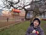 P1110030.JPG