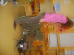 DSC00411.JPG