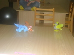 DSC01736.JPG