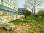DSC01008.JPG