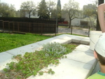 DSC01012.JPG