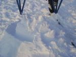 DSC05033.JPG
