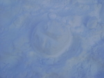 DSC05042.JPG