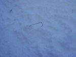 DSC05046.JPG